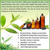Earth N Pure Tea Tree Oil 100% Pure And Natural Essential Oil - 250 Ml (8.4 Fl. Oz.) (250 Ml)