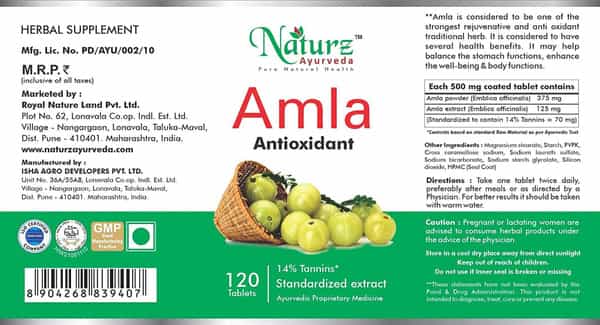 Naturz Ayurveda Amla 120 Tablets (Pack Of 2)