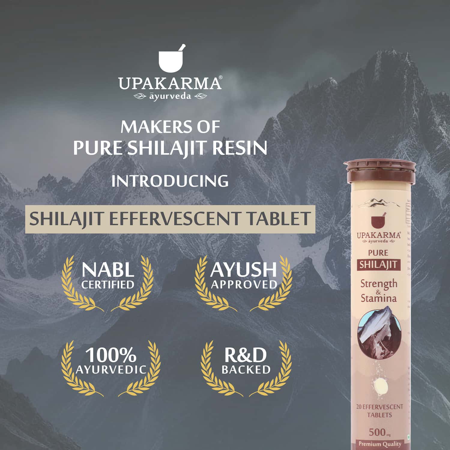 Buy UPAKARMA AYURVEDA PURE SHILAJIT 500MG 20 PREMIUM QUALITY