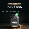 Nutrabay Gold 100% Whey Protein Concentrate Cafe Mocha - 2Kg