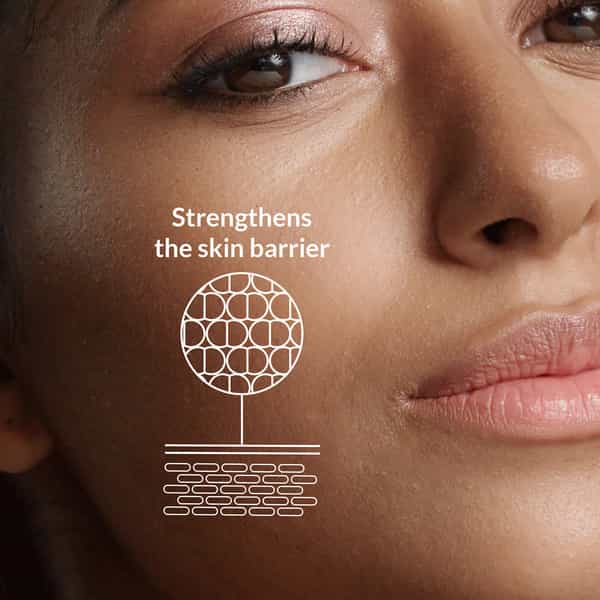 Lotus Botanicals Skin Brightening Night Cream Vitamin C Silicon & Chemical Free - 50 G
