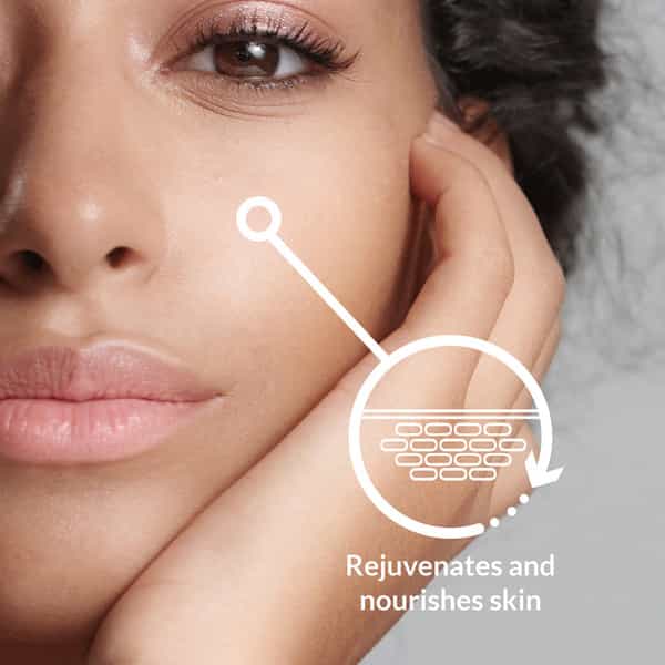 Lotus Botanicals Skin Brightening Night Cream Vitamin C Silicon & Chemical Free - 50 G