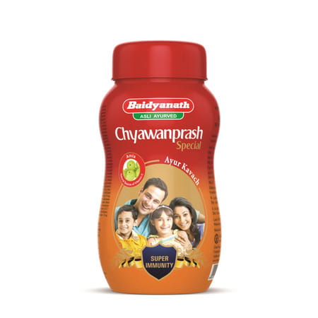 Baidyanath Nagpur Chyawanprash Special - 250 Gm (Pack Of 2) Natural Immunity Booster
