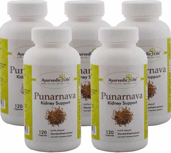 Ayurvedic Life Punarnava 120 Capsules (Pack Of 5)