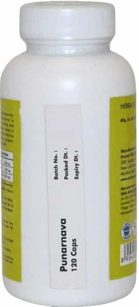 Ayurvedic Life Punarnava 120 Capsules (Pack Of 5)