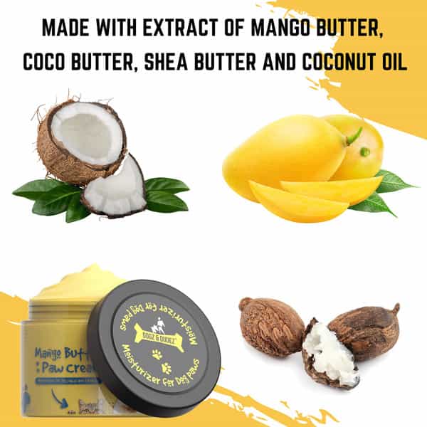 Dogz & Dudez Mango Butter Paw Cream 100 Gm
