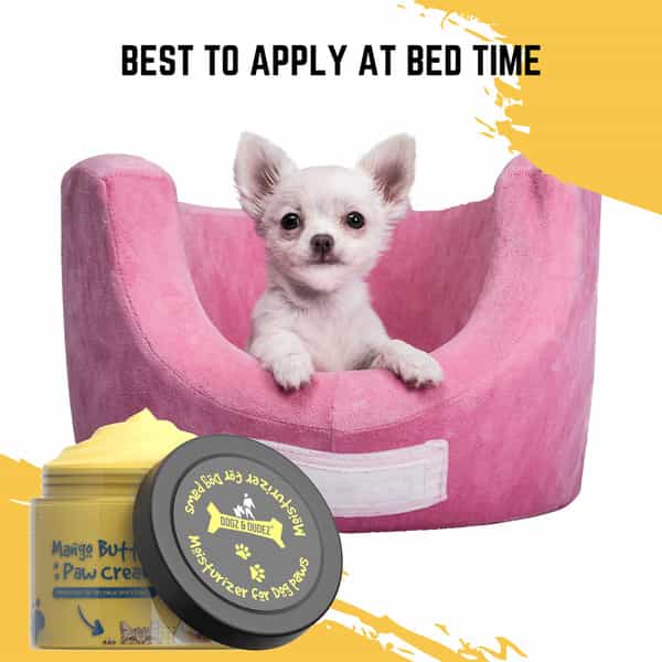 Dogz & Dudez Mango Butter Paw Cream 100 Gm