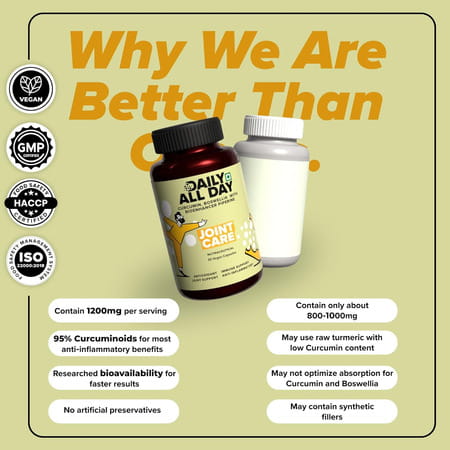 Daily All Day Joint Support Best Supplement | Curcumin With Piperine Turmeric | 60 Capsules
