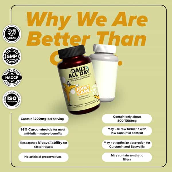 Daily All Day Joint Support Best Supplement | Curcumin With Piperine Turmeric | 60 Capsules