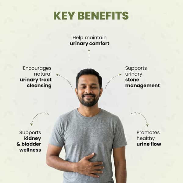 Green Milk Asvagandha Syrup | Ayurvedic Ashwagandha Tonic For Stress | Energy & Vitality | 200 Ml