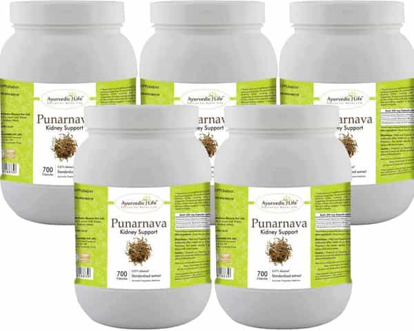 Al-Ayurvedic Life Punarnva Capsules - 700 Capsules Value Pack Of 5