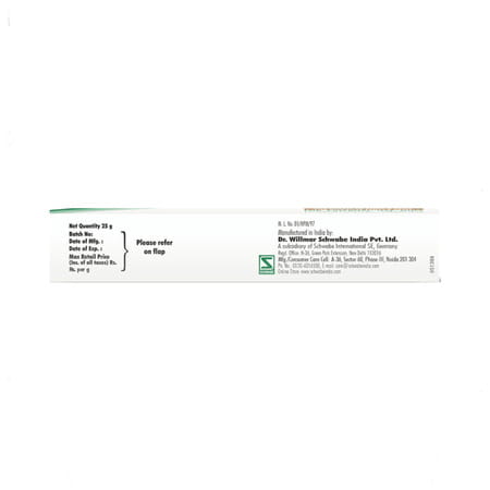 Dr. Willmar Schwabe India Topi Arnica 25 Gm