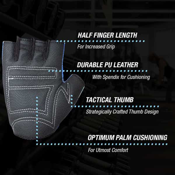 Musclexp Stout Blue Unisex Fitness Sports Gym Gloves Absorbing (Blue & Black) 1 Pair