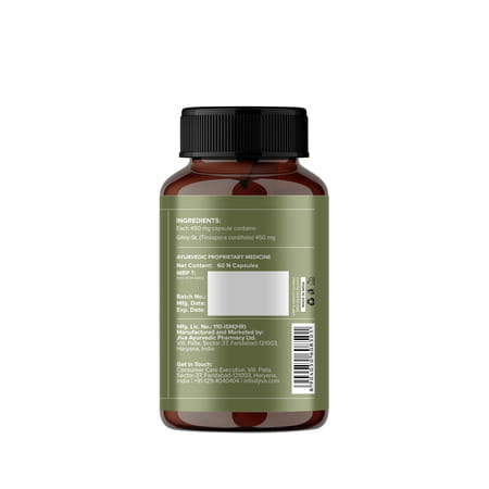 Jiva Giloy Capsule For Digestion|Ageing And Immunity Boost | Herbal Supplements - 60 Capsule(Pack 1)