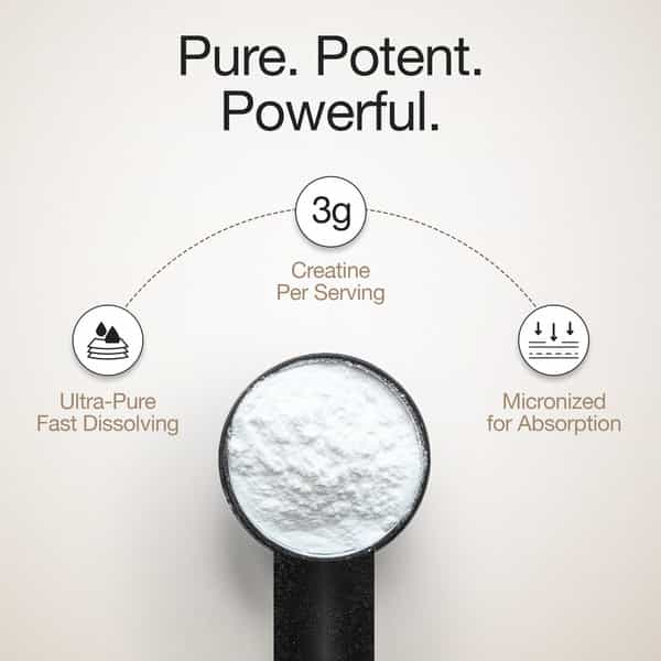 Wellbeing Nutrition 100% Pure Micronised Creatine Powder Monohydrate Unflavoured |100G | 33 Servings