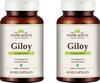 Vedikroots Giloy 60 Capsules 450 Mg 100% Organic | Tinospora Cordifolia | For Digestion(Pack Of 2)