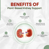 Himalayan Organics Plant Based Kidney Support | Bottle | 60 Veg Capsules