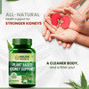 Himalayan Organics Plant Based Kidney Support | Bottle | 60 Veg Capsules