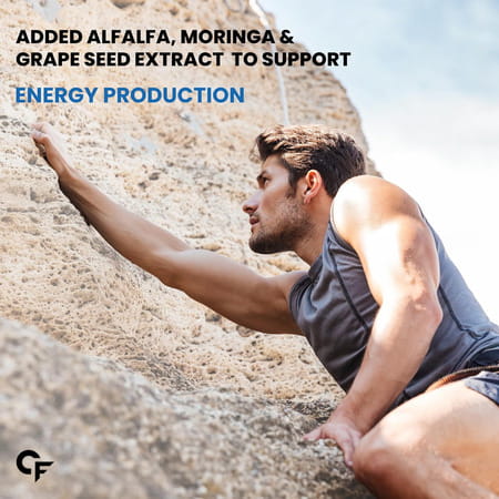 Carbamide Forte Multivitamin For Men 67 Ingredients 13 Vital Blends 60 Tablets