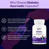 Oribite Diabetic Support Capsules For Blood Sugar Balance 60 Capsules