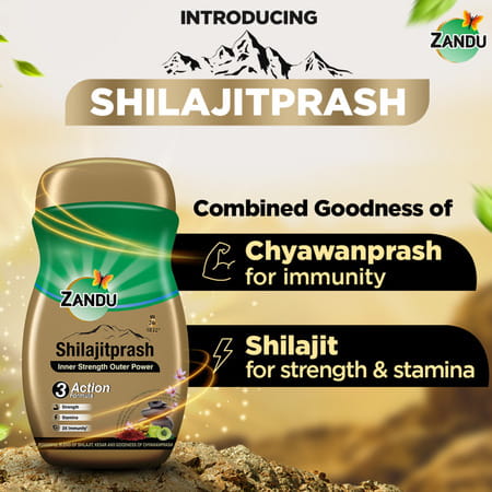 Zandu Shilajitprash Chyawanprash Jar 900 Gm