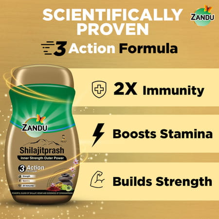 Zandu Shilajitprash Chyawanprash Jar 900 Gm
