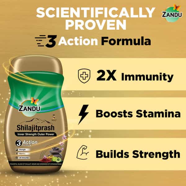 Zandu Shilajitprash Chyawanprash Jar 900 Gm