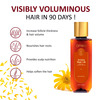 Omeo Arnica Hair Oil With Arnica & Jaborandi | 100% Herbal Extract | Unisex - 100Ml