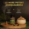 Koshaveda Ashwagandha Af-43 600mg By Muscleblaze, 60 Capsules | For Sound Sleep, Strength & Recovery
