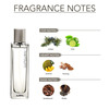 Ajmal Titanium Edp 100Ml Perfume For Men And Selfie Cp Oil Alcohol-Free Attar 10Ml For Men