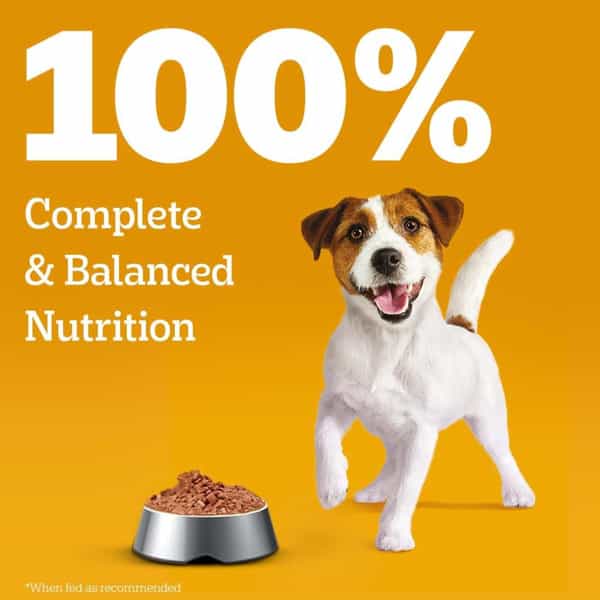 Pedigree Puppy Wet Dog Food | Chicken Chunks In Gravy | 130 G (Pack Of 120)