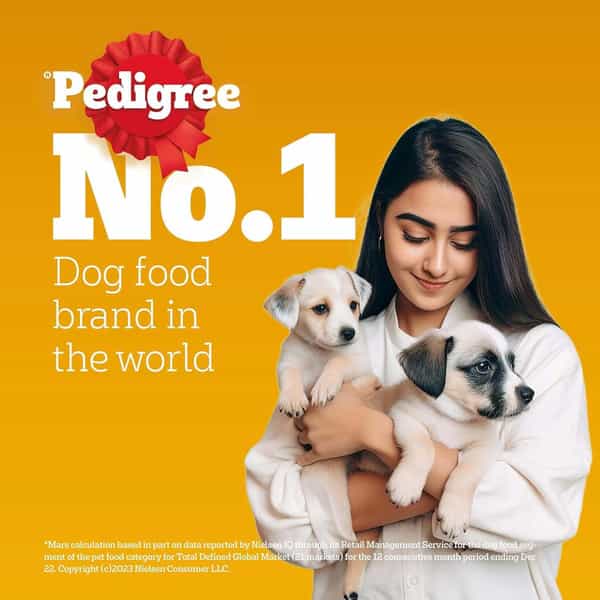 Pedigree Puppy Wet Dog Food | Chicken Chunks In Gravy | 130 G (Pack Of 120)