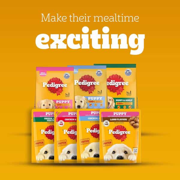 Pedigree Puppy Wet Dog Food | Chicken Chunks In Gravy | 130 G (Pack Of 120)