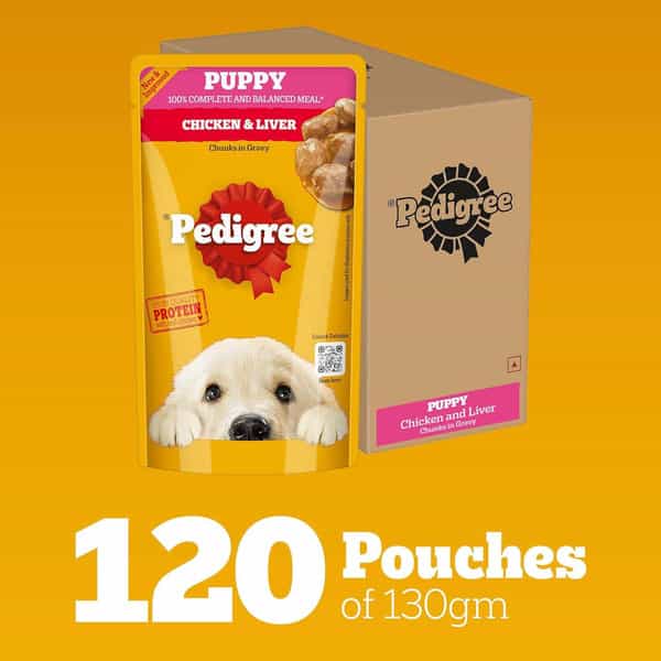 Pedigree Puppy Wet Dog Food | Chicken Chunks In Gravy | 130 G (Pack Of 120)