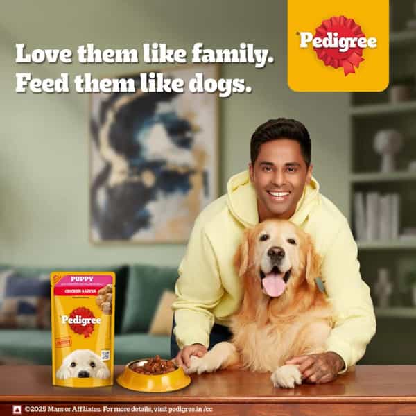 Pedigree Puppy Wet Dog Food | Chicken Chunks In Gravy | 130 G (Pack Of 120)