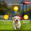 Pedigree Puppy Wet Dog Food | Chicken Chunks In Gravy | 130 G (Pack Of 120)