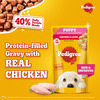 Pedigree Puppy Wet Dog Food | Chicken Chunks In Gravy | 130 G (Pack Of 120)