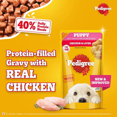 Pedigree Puppy Wet Dog Food | Chicken Chunks In Gravy | 130 G (Pack Of 120)