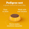 Pedigree Puppy Wet Dog Food | Chicken Chunks In Gravy | 130 G (Pack Of 120)