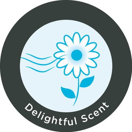 Whisper Bindazzz Nights Xxl Sanitary Pads | Upto 0% Leaks All Night Long | For Heavy Flow - 44n