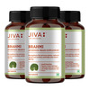 Jiva Brahmi Tablets 500Mg For Mind Wellness|Helps To Relief Stress & Anxiety - 120 Tabs(Pack 3)