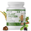 Inlife Plant Protein Powder - Pea | Quinoa & Brown Rice - 25G Protein (Coffee | 1Kg)