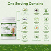 Inlife Plant Protein Powder - Pea | Quinoa & Brown Rice - 25G Protein (Coffee | 1Kg)