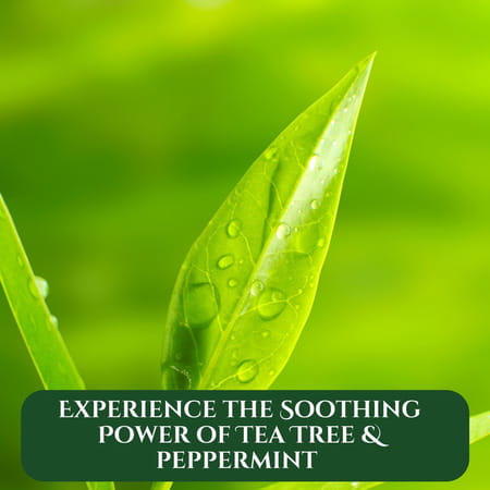 Xpel Marketing Tea Tree Conditioner 400ml