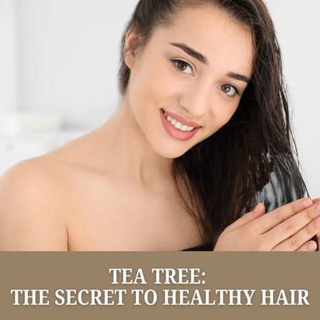 Xpel Marketing Tea Tree Conditioner 400ml