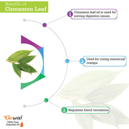 Go Woo 100% Pure Cinnamon Leaf Oil Virgin & Undiluted 10 Ml
