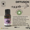Soulflower Lavender Essential Oil 15Ml