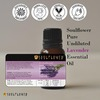 Soulflower Lavender Essential Oil 15Ml
