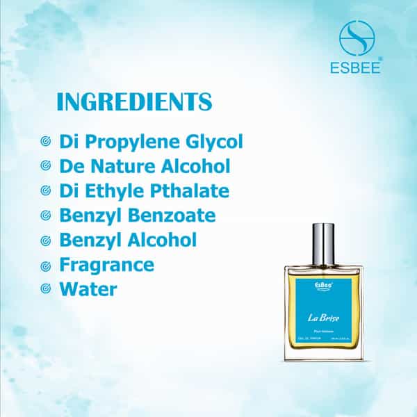 Esbee La Brise Luxury Unisex Perfume | Long Lasting Eau De Perfume 100Ml