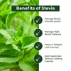 Sugar Fighter Stevia Powder Jar Of 250 G